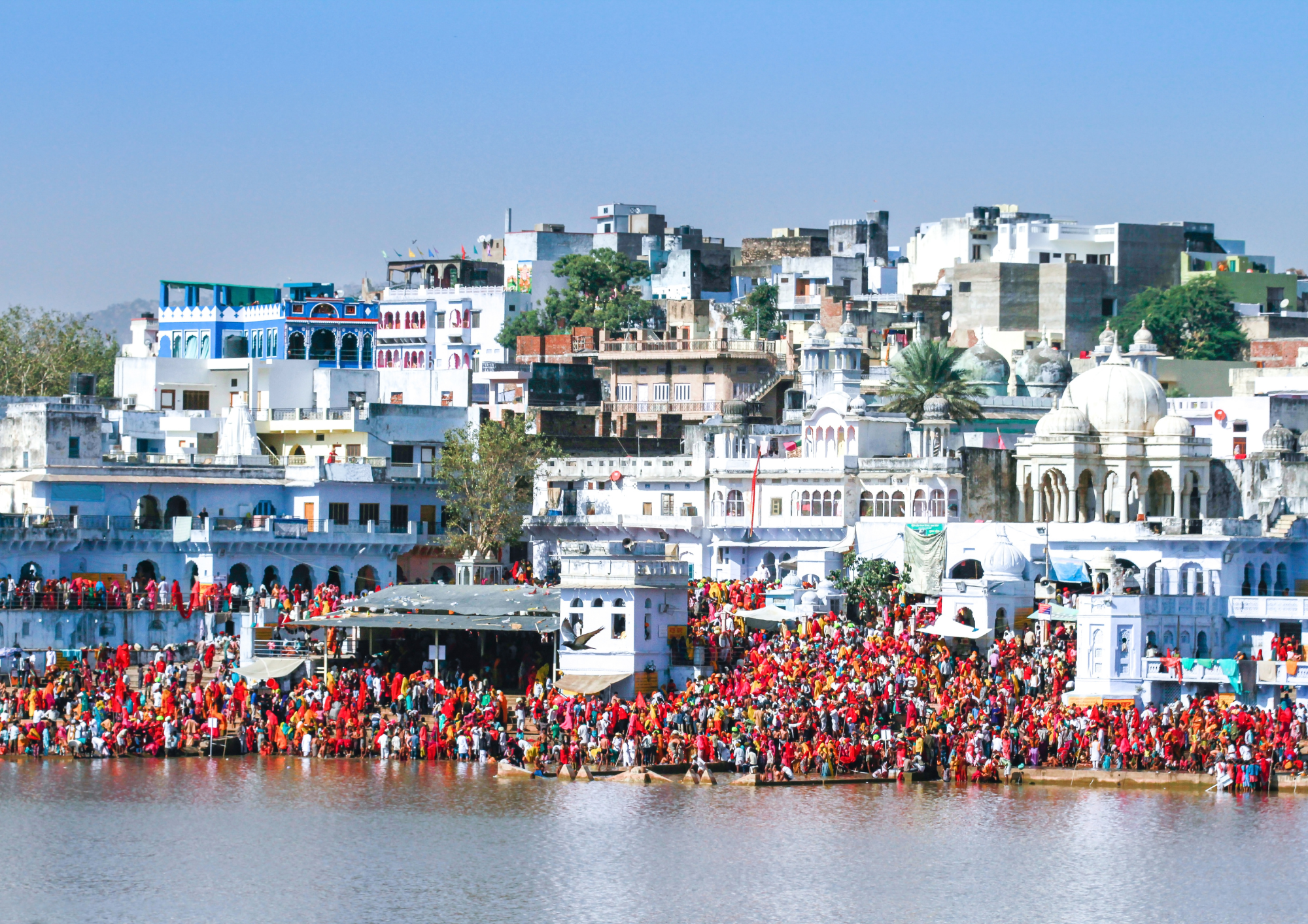 Pushkar Camel Fair Ground